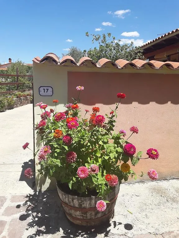 Bed & Breakfast Domu De Palla- Iun-E5167 Bauladu