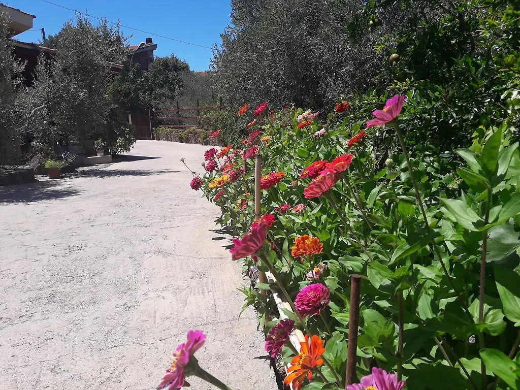*** Bed & Breakfast Domu De Palla- Iun-E5167 Bauladu Italy