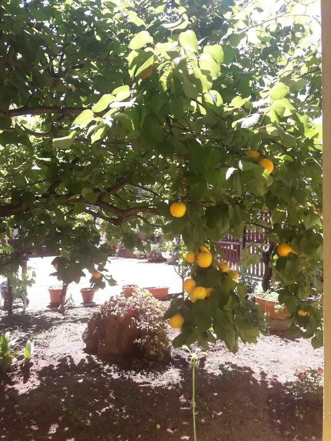 Bed & Breakfast Domu De Palla- Iun-E5167 Bauladu
